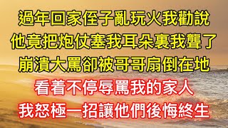 過年回家侄子亂玩火我勸說，他竟把炮仗塞我耳朵裏我聾了，崩潰大罵卻被哥哥扇倒在地，看着不停辱罵我的家人，我怒極一招讓他們後悔終生