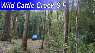 Jason doing Van Life - Wild Cattle Creek, Quest to Mobong Falls