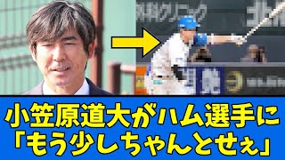 【喝???】小笠原「もう少しちゃんとせぇ!!!」【プロ野球反応集】【2chスレ】【5chスレ】