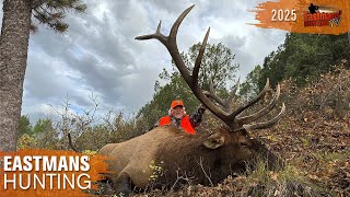 Elk Hunt Adventure in Southern Colorado | Eastmans Hunting TV