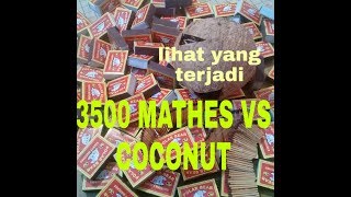 NEW EXPERIMENT 3500 MATHES VS COCONUT