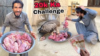 20k Ka Challenge 😱 Vulture VS 10 Chickens 🐓🔥