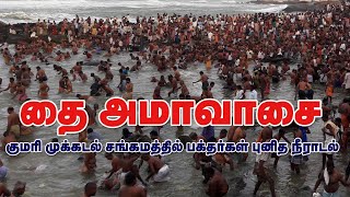 #Kanyakumari #Amavasai  கன்னியாகுமரி முக்கடல் சங்கமத்தில் தை அமாவாசை |  பக்தர்கள் புனித நீராடல்