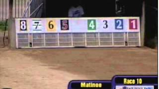 Kt Bailey Wheeling Downs Grade A 102910 Wmv
