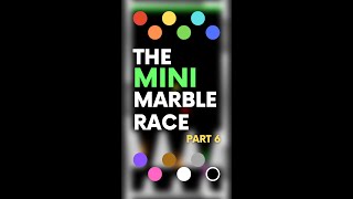 The Mini Marble Race (Part 6/11)