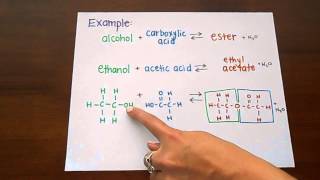 Ester Formation