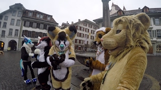 Public Fursuiting Fun in Thun, Switzerland 02/2017