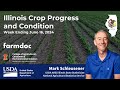 Illinois Crop Progress and Condition Report for Week Ending June 16, 2024