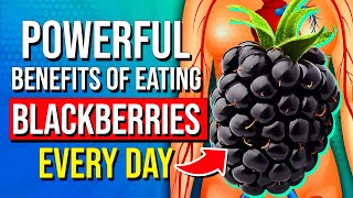 7 POWERFUL Health Benefits Of Eating Blackberries Every Day
