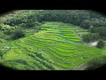 新ドローン紀行2023 静岡県浜松市北区引佐町　　　猛暑日🥵の中、女優「柴咲コウ」が田植えした棚田に行って来ましたよ🥵🥵😵‍💫