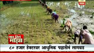 Gaon Tithe Majha 7pm : Gondia: seeds sowing : 31 07 2016