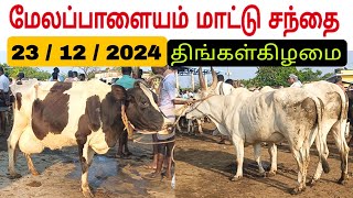 23 / 12 / 2024 / மேலப்பாளையம் மாட்டு சந்தை /திங்கள்கிழமை #மாடு #மாட்டுசந்தை #மேலப்பாளையம் #cowmarket