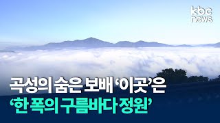 곡성 천태암에서 보는 '한 폭의 구름바다 정원' / KBC뉴스