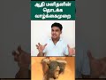 ஆதிமனிதனின் எளிய வாழ்க்கைமுறை ancient human s simple life stone age human s life