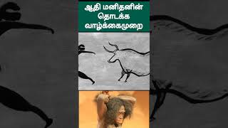 ஆதிமனிதனின் எளிய வாழ்க்கைமுறை - Ancient human's simple life - Stone age human's life