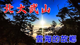 【北大武山-雲海的故鄉】上山難下山更難｜邊走邊抽筋到三角點| 一日單攻摸雙黑  | 雲海造成一路溼滑 | 下次單攻不要找我 | DJI Mavic AIR2 空拍