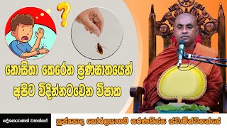 නොසිතා කෙරෙන ප්‍රණඝාතයෙන් අපිට විදින්නටවෙන විපාක ven koralayagama saranathissa thero