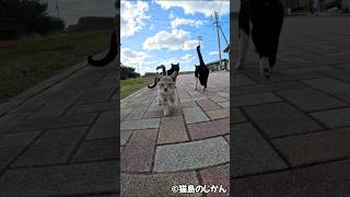 ダッシュで駆け寄る天使👼