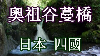 日本之旅：德島縣 祖谷 由漫山遍野的蔓籐編制成的蔓橋 感受大自然的卓越成就 男橋 女橋 野猿橋 德島01