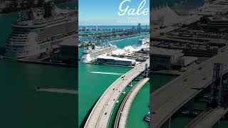 Gale Miami