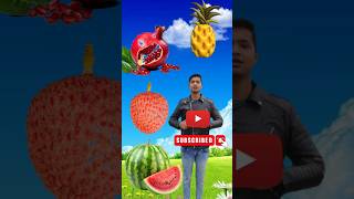 Rounding pomegranates to Grapes, Mango, lichi \u0026 Watermelon - Fruits names magic video