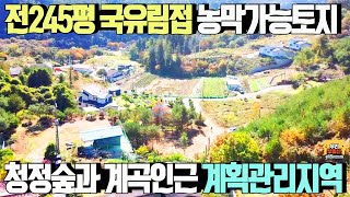 전245평 국유림 접한 농막가능 계획관리지역 토지 매매가1억3천만원/ 비선호시설 없는 청정 힐링숲과 계곡인근 /양평우리부동산 매물번호1444 [양평토지 매매]