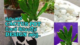 අලංකාර Cactus Pot එකක් ගෙදරදීම හදාගමු #How to make a Beautiful #Cactus pot at #Home