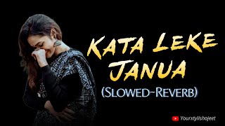 Bhojpuri Slowed Reverb Song - Kata Leke Lofi Song | Kata Leke | Bhojpuri Lofi | Slowed Reverb | Lofi