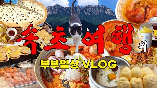 🌊속초 당일치기 여행⛱️브이로그 | 전복짬뽕순두부, 옥수수커피 아이스크림, 강원도막걸리빵, 누룽지오징어순대, 코끼리분식 꽈배기, 옥수수쌀찐빵 | 울산바위, 낙산사, 속초 시장 맛집