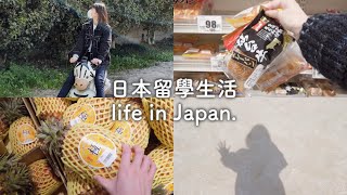 日本留學｜終於買到台灣鳳梨🍍深夜去繩索公園探險🎢日本超市食糧採購🛒一個人的料理時間🌿