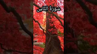 Surah An Nas/Shiekh Sudais/Full Arabic/English/urdu