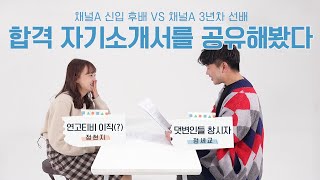 이걸로 입사해서 '댓변인'들을 만들었다고? 언론사 합격 자기소개서를 서로에게 읽어줬다. [현지로운 막내생활]