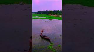 বিলের মাঝে #shortvideo #shorts #viralvideo #viralshorts