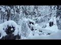 ❄️ warm winter ambience 🎹 – relaxing piano music with peaceful nature sounds