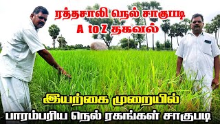 ரத்தசாலி நெல் சாகுபடி முறை |  பாரம்பரிய அரிசி வகைகள் | Iyarkai Annai