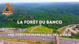 LA FORÊT DU BANCO : LA PLUS GRANDE FORÊT EN PLEIN MILIEU DE LA VILLE D'ABIDJAN