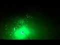 Green light causes fishing frenzy! South Padre Island! 27 S