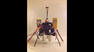 THRUST VECTORING VTOL DRONE - New MonoBot pics - MonoPhan Thrust Vectoring Singlecopter