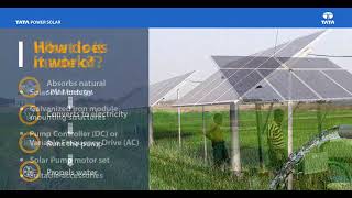 Tata Power Solar Pumps: Get to know the ultimate solution for all irrigation needs