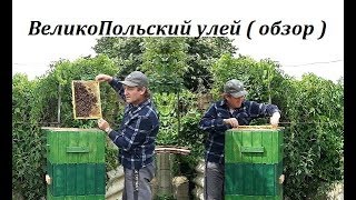 ВеликоПольский улей. ( обзор)