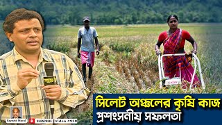 এবার দেখবো সিলেট অঞ্চলের কৃষি কাজ | sylhet agriculture | Bayezid Moral | Green AT