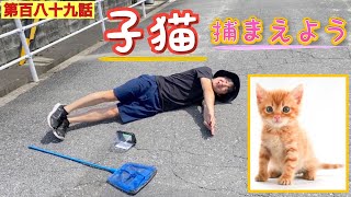 【第百八十九話】子猫を捕まえて友達の誕生日にプレゼントしてみよう。（ドッキリ）