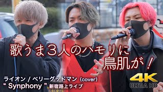 【 歌うま！】歌うま３人のハモリに鳥肌が！  ライオン / ベリーグッドマン（cover）\