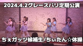 20240402秋葉原グレースバリ定期公演ちぇガッツ候補生ちぃたん☆体操