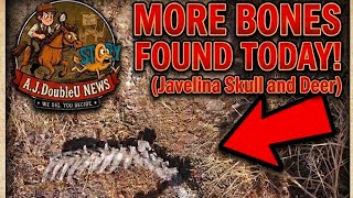 LIVE : SEARCHING FOR NANCY GUTHRIE ❗️ Boots on the ground search❗️❗️ Tanque Verde area