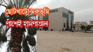 কুয়েত ছোটখাটো মরুভূমি /পাশেই হাসপাতাল/খেজুর গাছের বাগান/Palm groves/