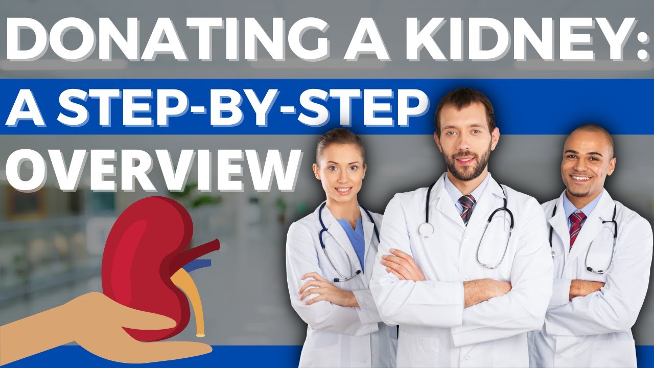 Kidney Donation Process A Donor S Guide рџњџ Youtube
