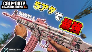 【COD:BO6】2024年最後の動画‼︎５アタで最強のARを使ってたら強すぎて中国人大激怒⁈【カスタム紹介】