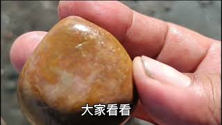 台灣西海岸玉石/黃皮雜木化玉/杜蘇芮颱風要來了請注意安全2023/7/23