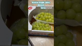 Review anggur shine muscat korea guys #gtogkorea #food #pmikorea #anggur